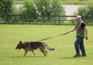KM 2011