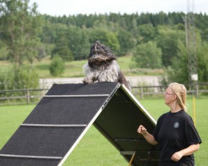 Det här var högt