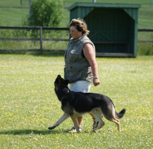 KM 2009