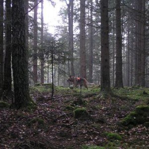 klubbmästerskap 2006