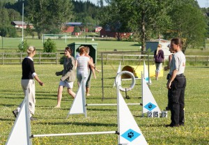 KM 2009