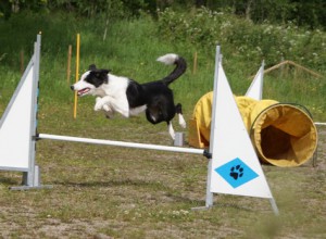 KM 2011