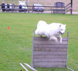 Klubbmästerskap 2007