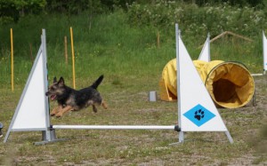 KM 2011