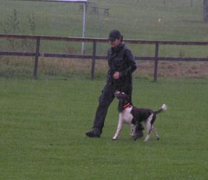 klubbmästerskap 2006