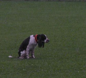 klubbmästerskap 2006