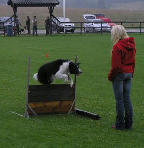 klubbmästerskap 2006