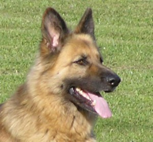 km 2005