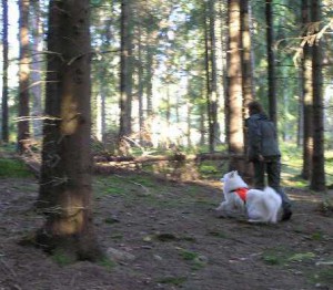 kmfalt1