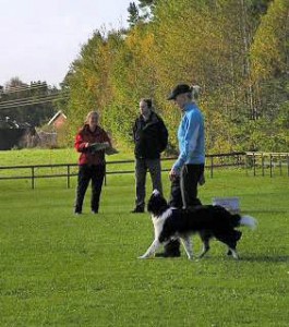 lydnad 8 okt 2006