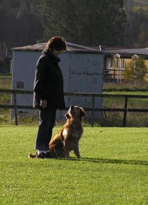 lydnad 8 okt 2006