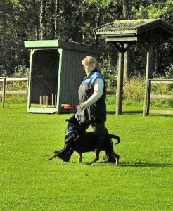 lydnad 8 okt 2006
