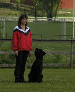 23 maj 2008