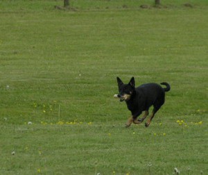 23 maj 2008