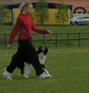 23 maj 2008