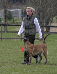 lydnad 29 april 2006