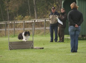 2 okt 2011