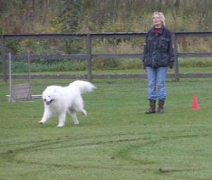 Lydnadstävling 7 oktober 2007