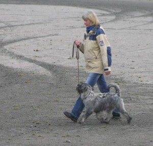 Lydnadstävling 7 oktober 2007