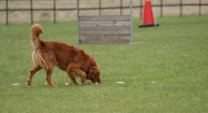 8 maj 2010