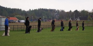 8 maj 2009