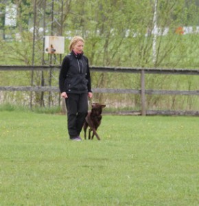 12 maj 2012