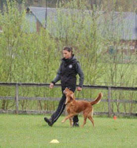 12 maj 2012