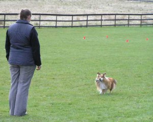 Lydnad 1 maj 2005