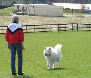 Lydnad 1 maj 2005