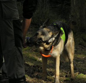Sök Lkl-Elit 15 april 2007