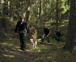Sök Lkl-Elit 15 april 2007