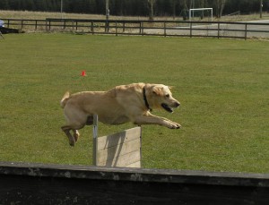 2008