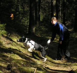 Sök Lkl-Elit 15 april 2007