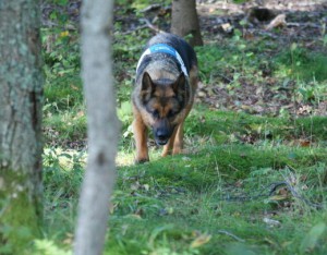 Tävling lägre elit 2009