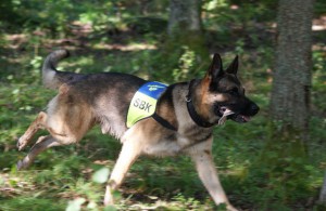 Tävling lägre elit 2009