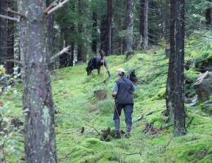 Tävling lägre elit 2009