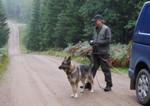 2008