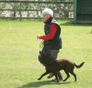 15 maj 2011