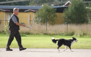 Tävling lägre elit 2009