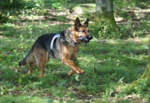 Tävling lägre elit 2009