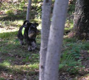 spår ekl 10 sept 2006