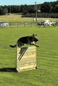 Snyggt hopp