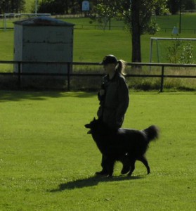 Spårtävling lkl 2007