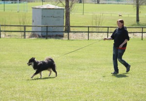 9 maj 2010