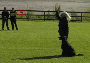 Spårtävling lkl 2007