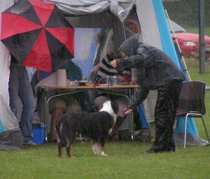Men inget stoppar en äkta entusiast, lite regn, vad gör väl det.