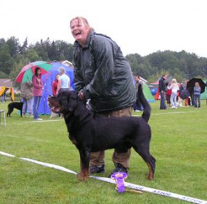 Rottweiler. NUCH DKUCH AD KORAD Bittebit´s Knerten-Bjarne. Ägare: Anne-Marit och Geir Traaholt, Norge