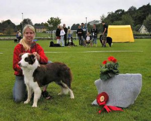 Border Collie. Detani Red Tea Ägare: Nathalie Ädel, Göta 