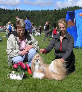 Thyra Albertsson med Charity´s Kicks Off Kisses Shih-tzu