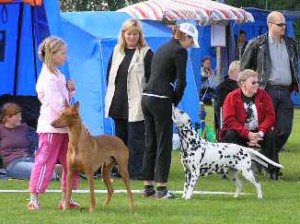 Utställning 6 aug 2005